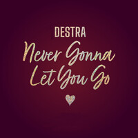 Never Gonna Let You Go