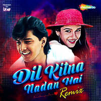 Dil Kitna Nadan Hai (Remix)
