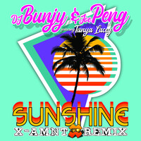 Sunshine(X-Amnt Remix)