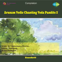 Arunam Vedic Chanting Veda Pandits 2