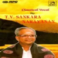 T V Sankaranarayanan