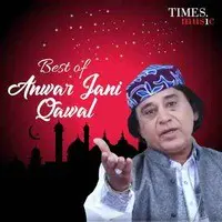 Best Of Anwar Jani Qawal