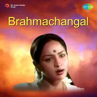 Brahmachangal