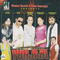 Rocking Punjabi