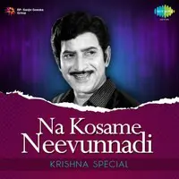 Na Kosame Neevunnadi Krishna Special