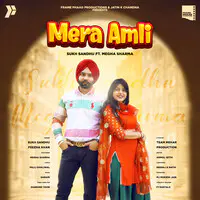 Mera Amli