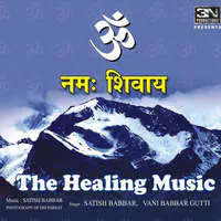 Om Namoh Shivay - The Healing Music