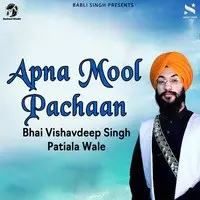 Apna Mool Pachaan