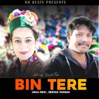 Bin Tere