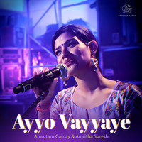 Ayyo Vayyaye