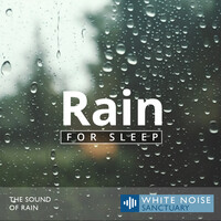 White Noise: Rain Sounds for Sleep