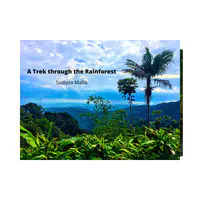 A Trek Through the Rainforest