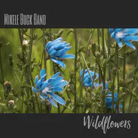 Wildflowers