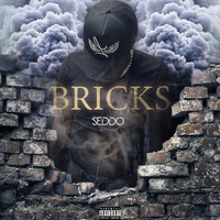 Bricks