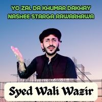 Yo Zal Da Khumar Dakhay Nashee Starga Rawarhawa
