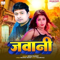 Jawani Song Download: Play & Listen Jawani Bhojpuri MP3 Song by Gulam ...