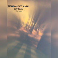 Wanna Get High