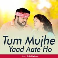 Tum Mujhe Yaad Aate Ho