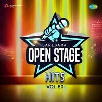 Open Stage Hits - Vol 80