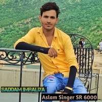 Aslam Singer SR 6000