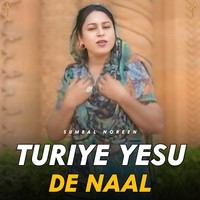 TURIYE YASU DE NAAL