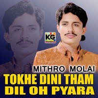 Tokhe Dini Tham Dil Oh Pyara