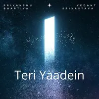 Teri Yaadein