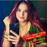 Happy New year Meena Geet