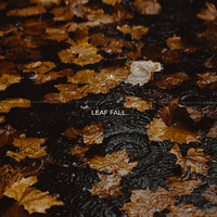 Leaf Fall