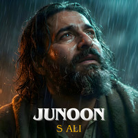 Junoon Song Download: Play & Listen Junoon Haryanvi MP3 Song by S Ali ...