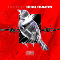 Bird Huntin