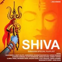 Shiva- Shravan Special Playlist