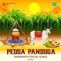Pedda Panduga - Sankranthi Special Songs