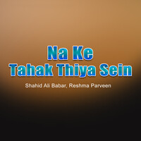 Na Ke Tahak Thiya Sein