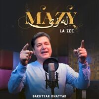 Mazy La Zee