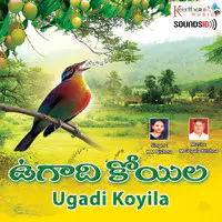 Ugadi Koyila