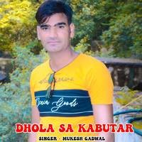 Dhola Sa Kabutar