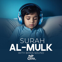 Surah Al Mulk With Natural Sound