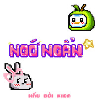 Ngớ Ngẩn (Nấu Bởi Kida)