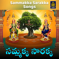 Sammakka Sarakka