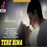 Tere Bina Slowed & Reverb