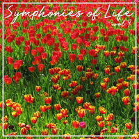 Symphonies Of Life, Vol. 9