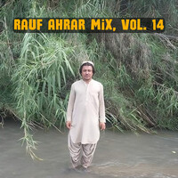 Rauf Ahrar Mix, Vol. 14