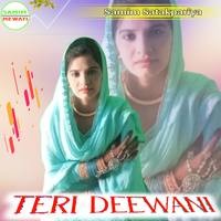 TERI DEEWANI