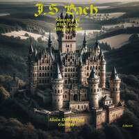 J.S.Bach - Sonate n°II BWV1003 Allegro Final