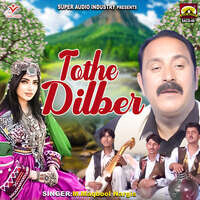 Tothe Dilber