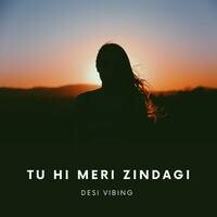 Tu Hi Meri Zindagi