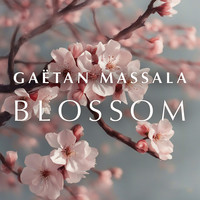 Blossom