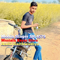 Mohin Singer SR 4579