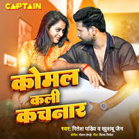 holi mp3 song 2025 ritesh pandey